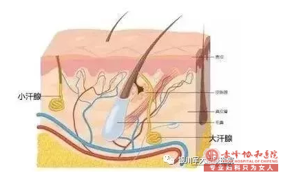 大连你敢不敢直视腋臭的四大危害？会闪瞎的哦~