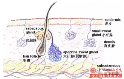 大连腋臭问题总结，解答你心中所有疑问！