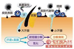 大连元宝山狐臭初期有味道吗