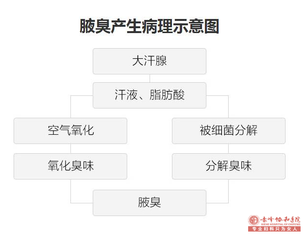 大连林西县狐臭患者腋下三个特点