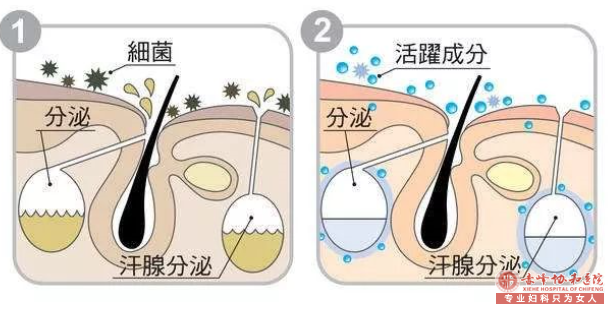 大连喀喇沁旗狐臭患者吃肉有讲究